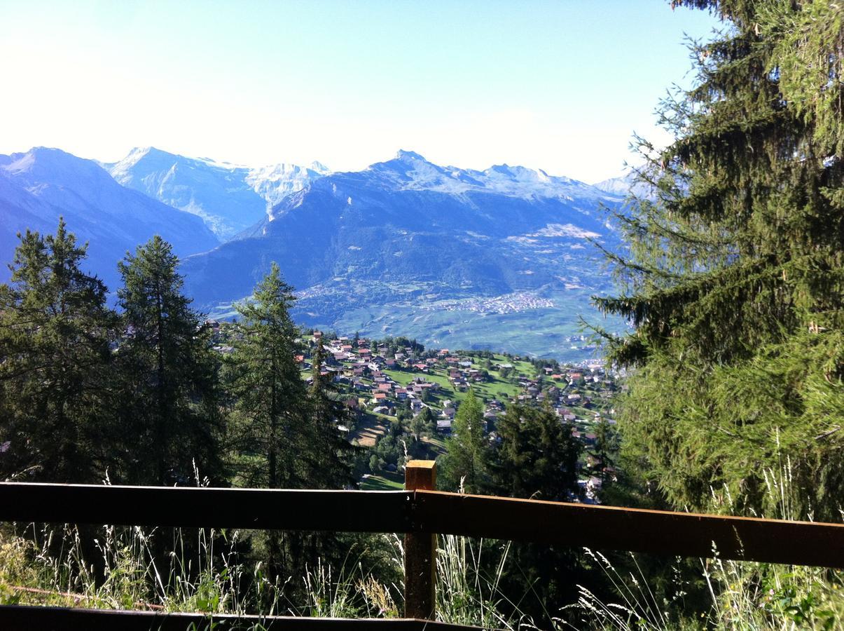 Greppon Blanc A2 Apartment Nendaz Bagian luar foto